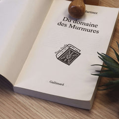 Sello ex libris libro grande